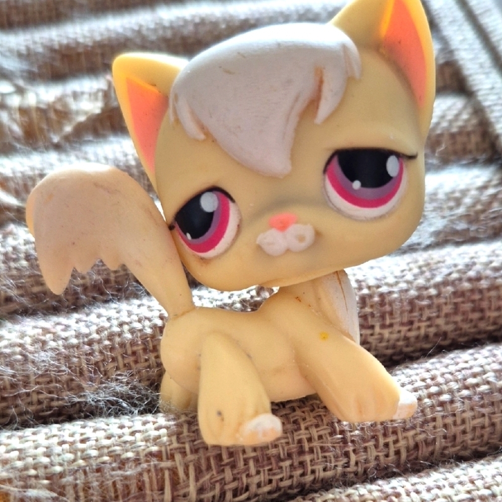 LPS #364 LITTLEST PETSHOP ORIGINAL AUTHENTIC CHAT ANGORA CAT ANGORA HASBRO